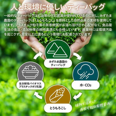 “不含咖啡因”1 杯 Taiyo-san Baby Bancha 茶包連繩 2.5g x 65 入